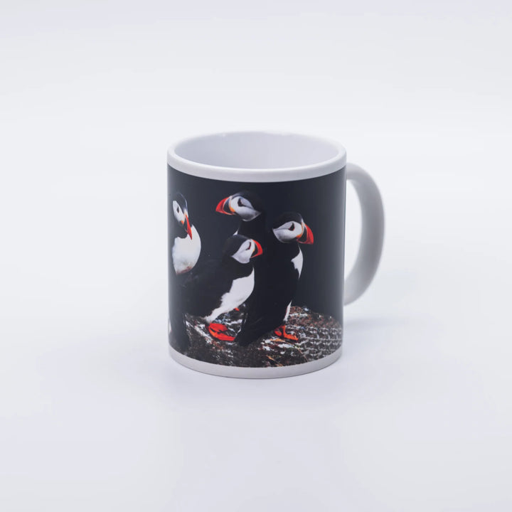 Heat Changing Morph Mug - Minjagripir.is