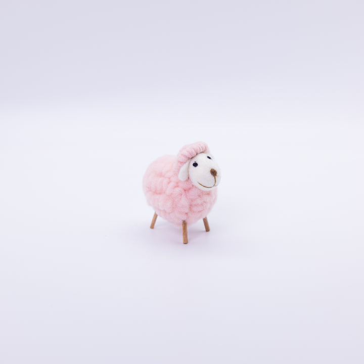 Cute Colorful Sheep