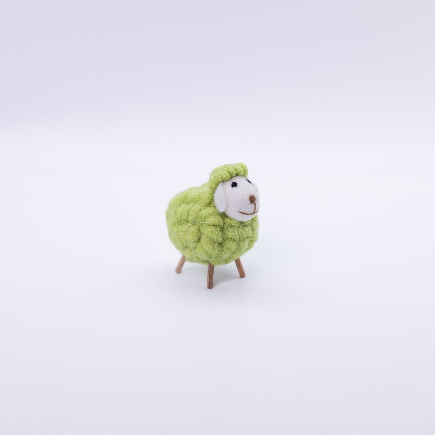 Cute Colorful Sheep