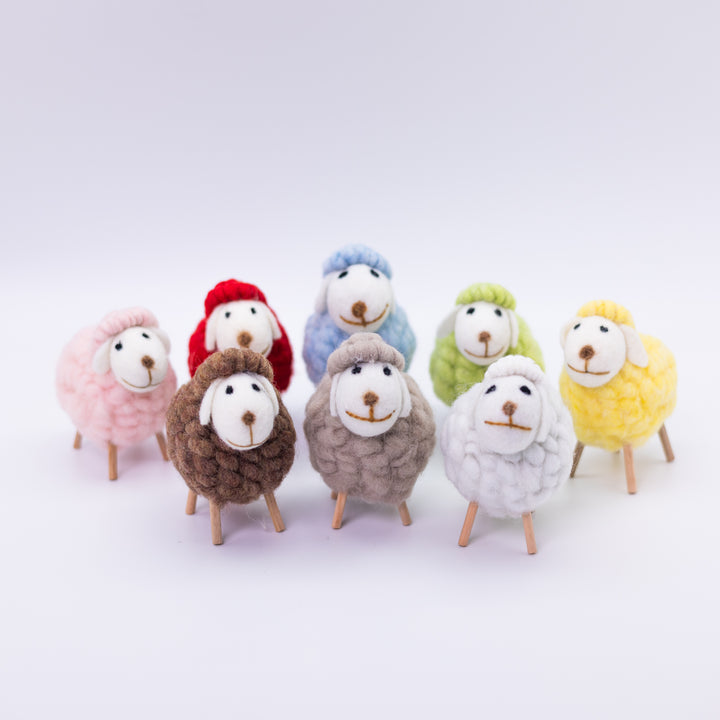 Cute Colorful Sheep