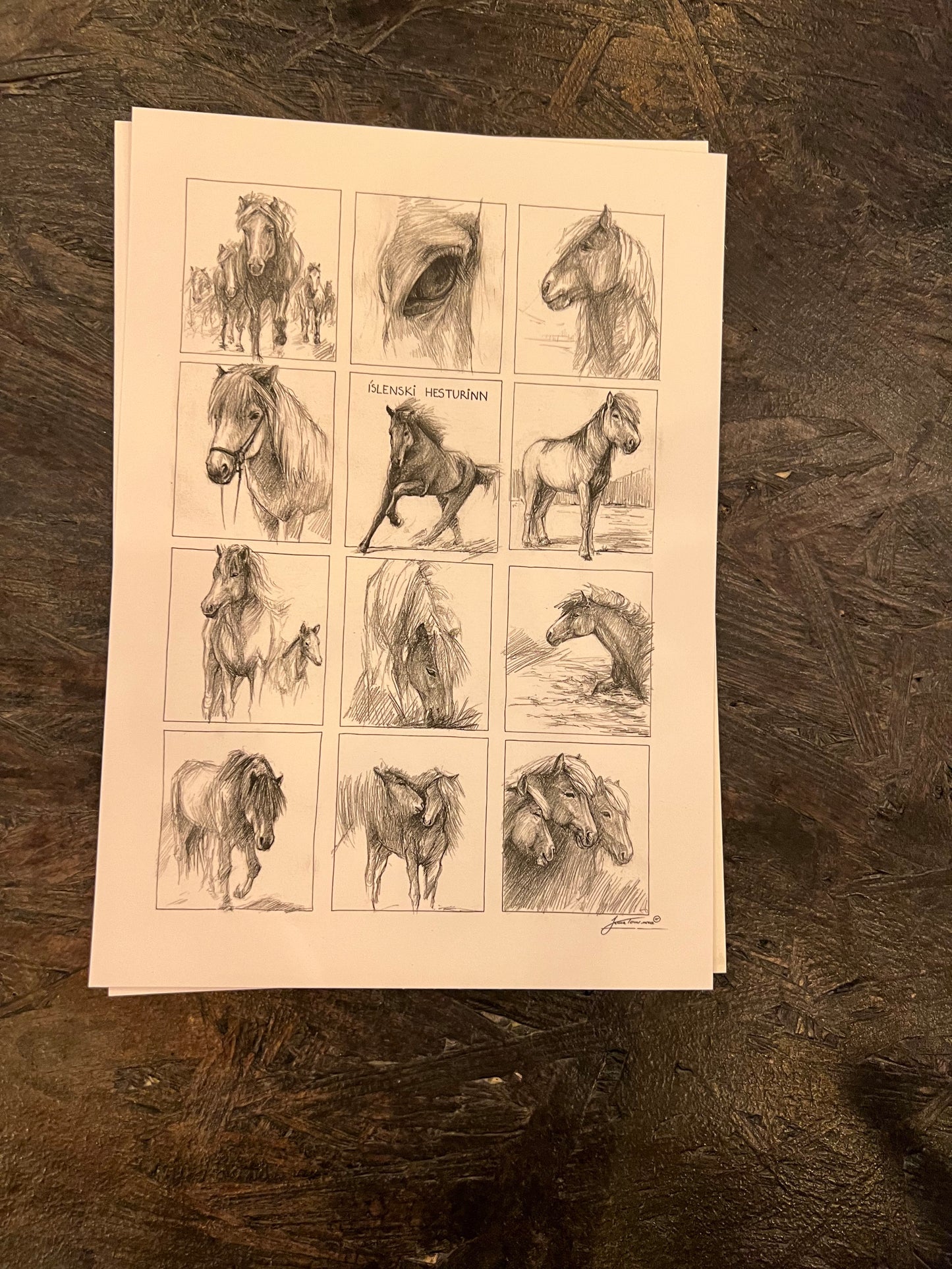 Postcard A5 Icelandic Horses - Jana Tomanová