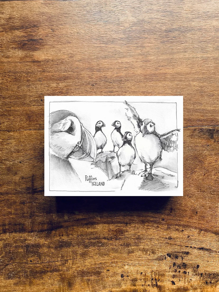 Postcard A6 Puffins Collection - Jana Tomanová
