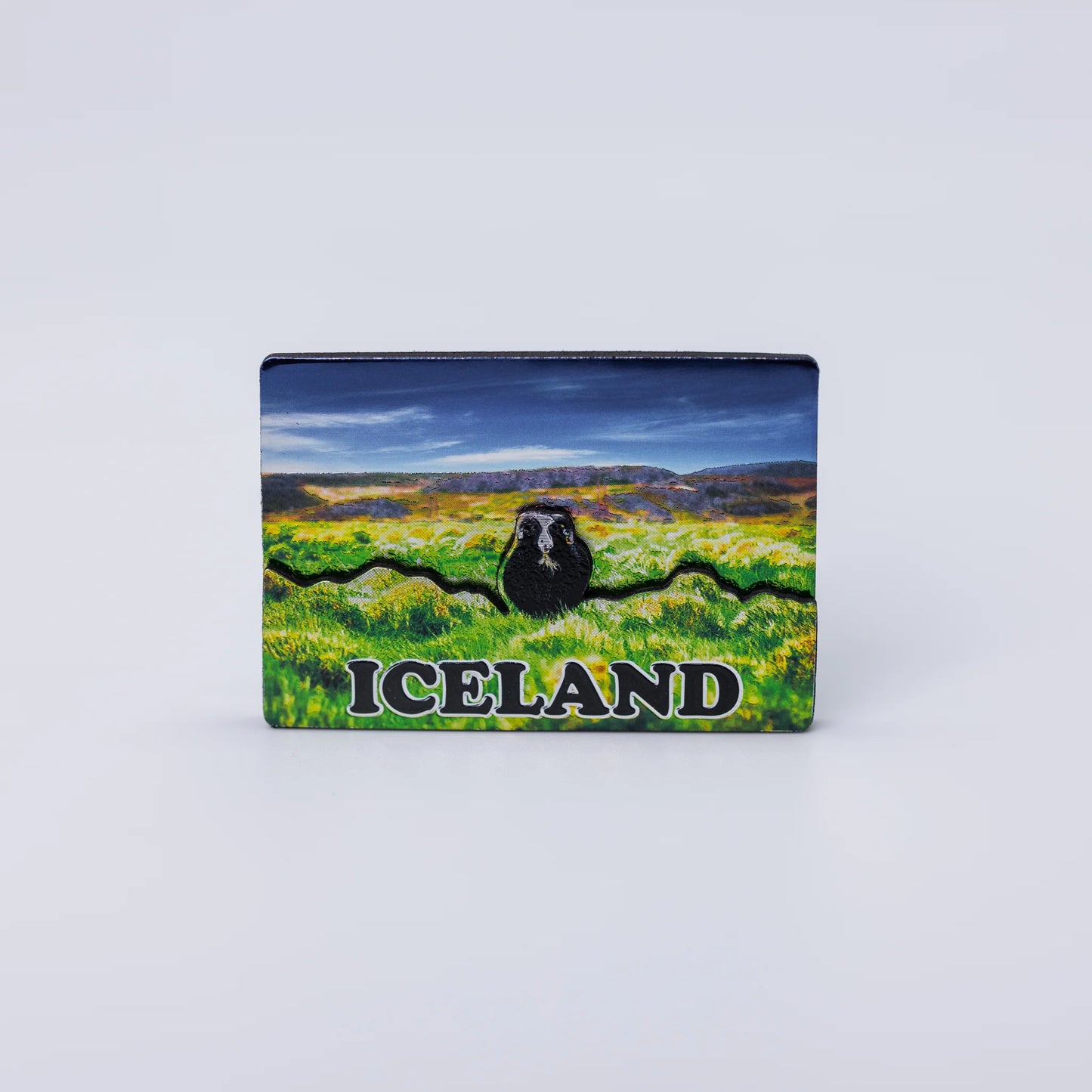Magnet Shiny Pictures - Minjagripir.is