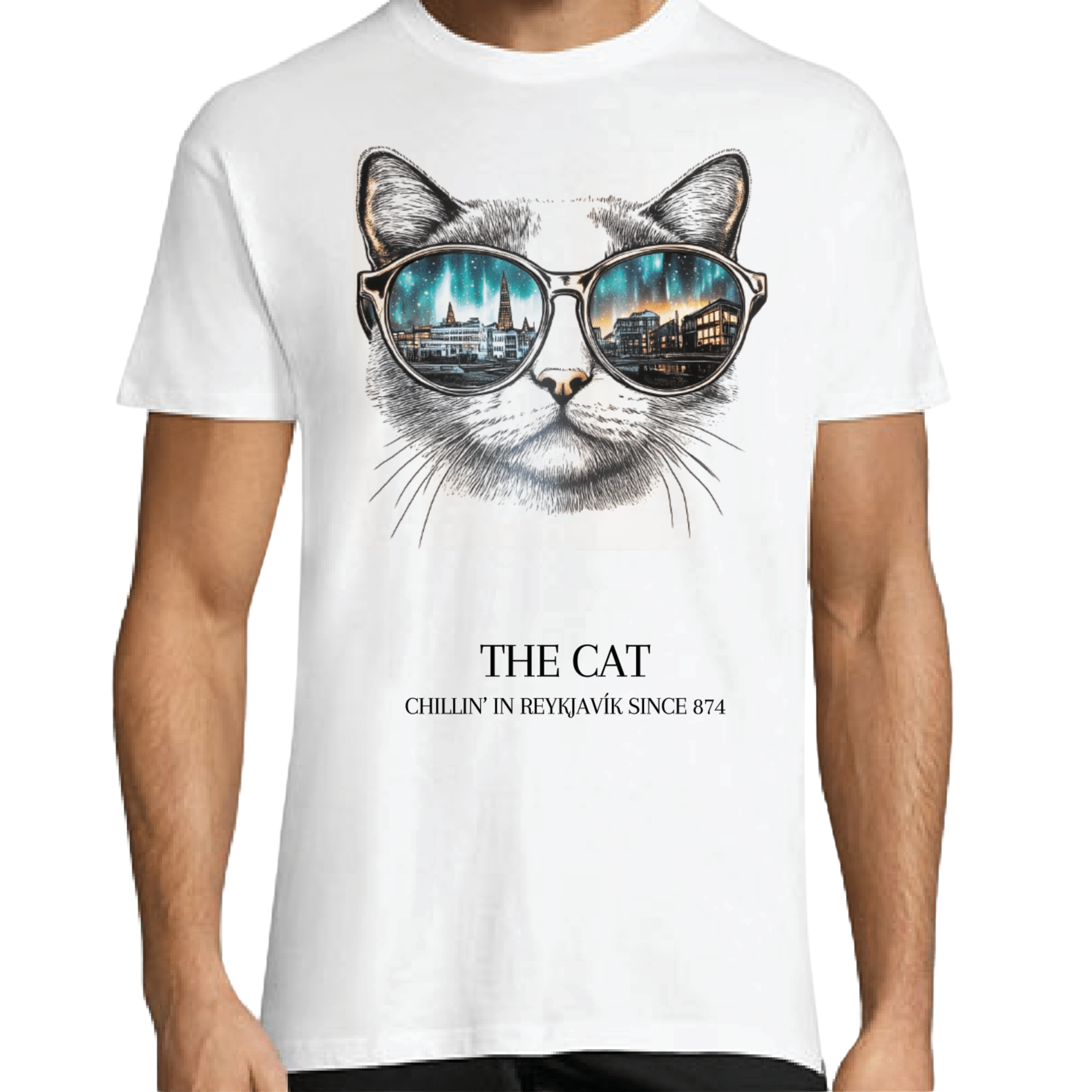 T-Shirt Iceland - Remember Reykjavík