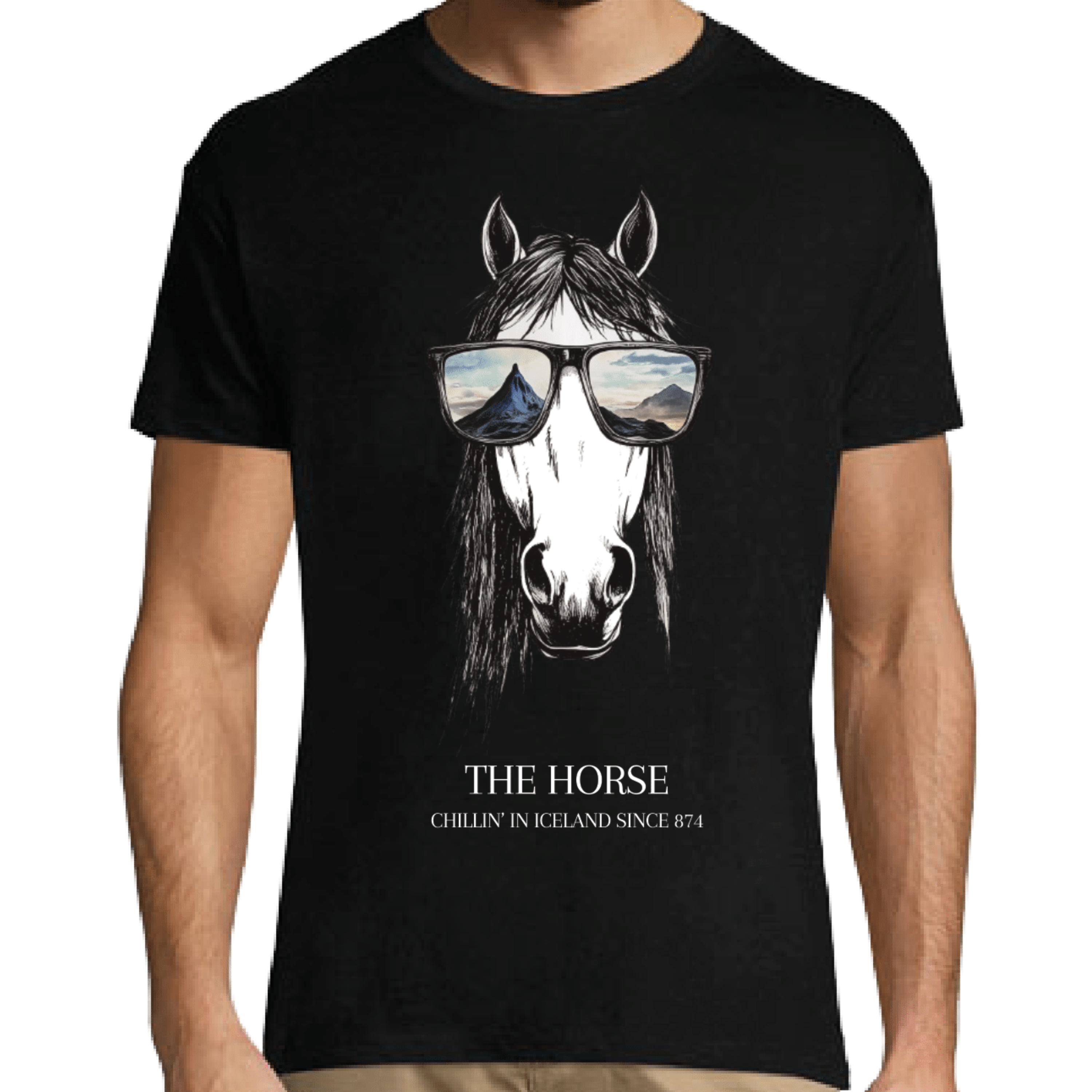 T-Shirt Iceland - Remember Reykjavík