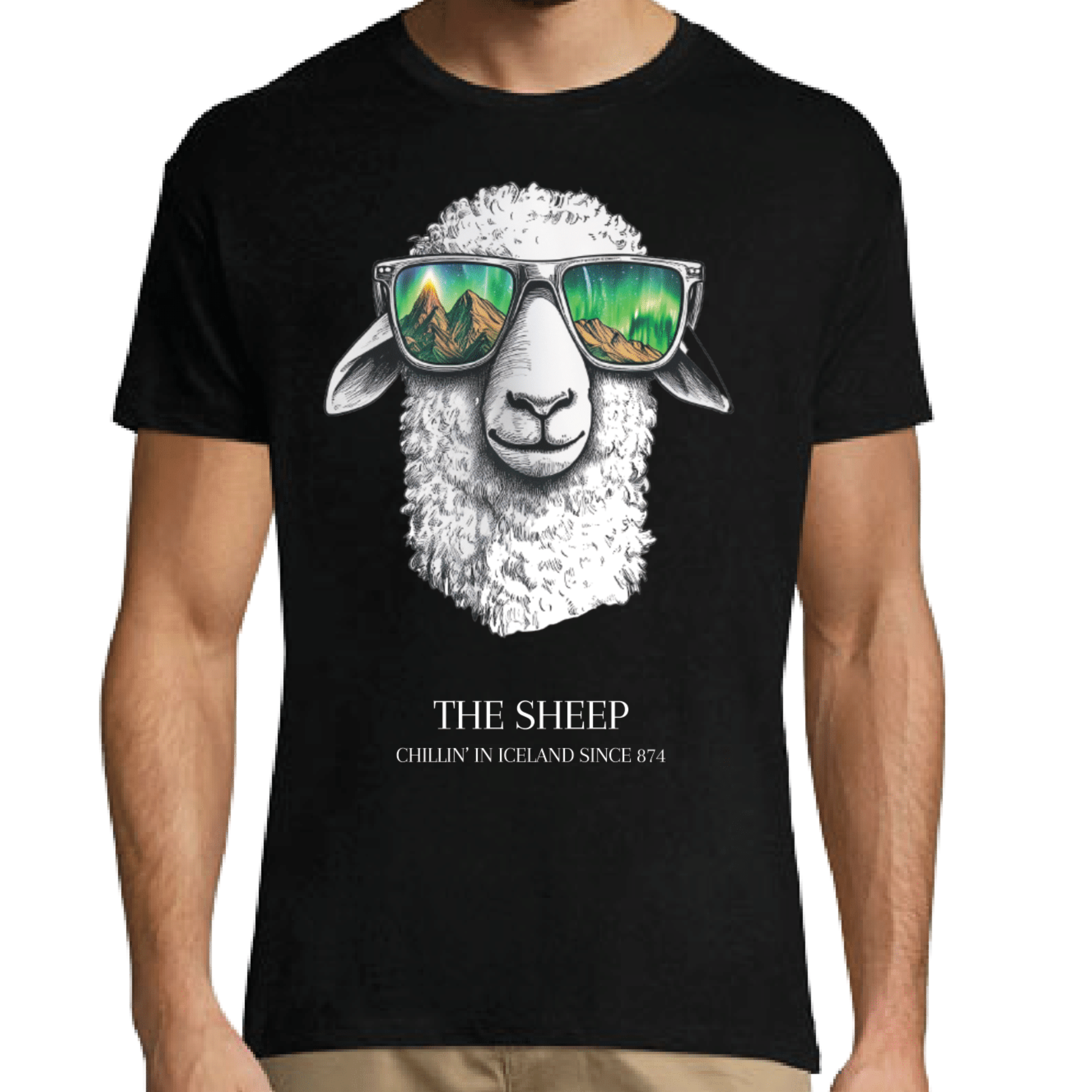 T-Shirt Iceland - Remember Reykjavík