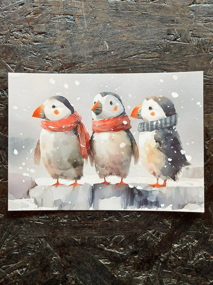 Postcard - Drunken Puffin