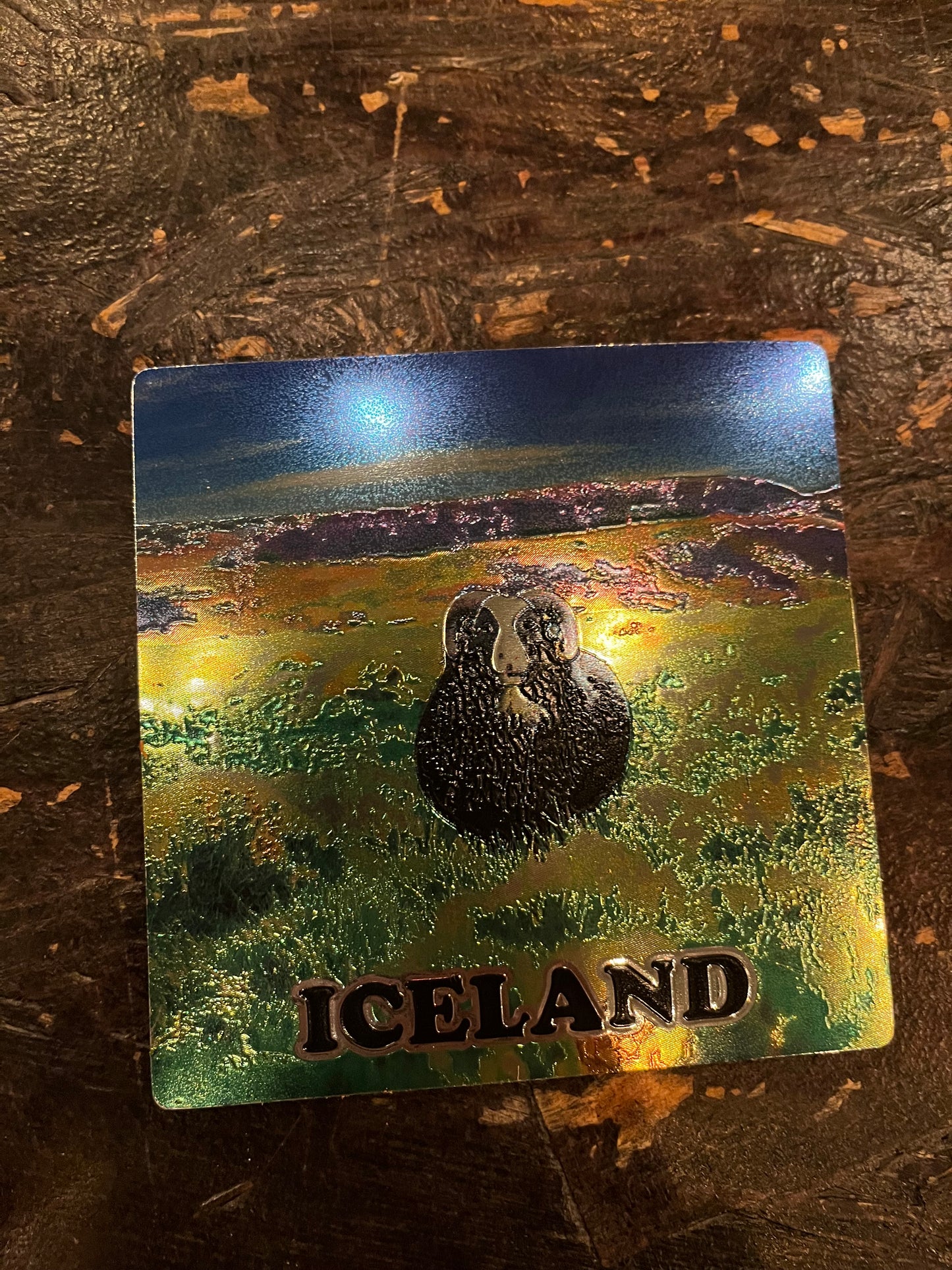 Coasters - Icelandic Nature - Minjagripir.is