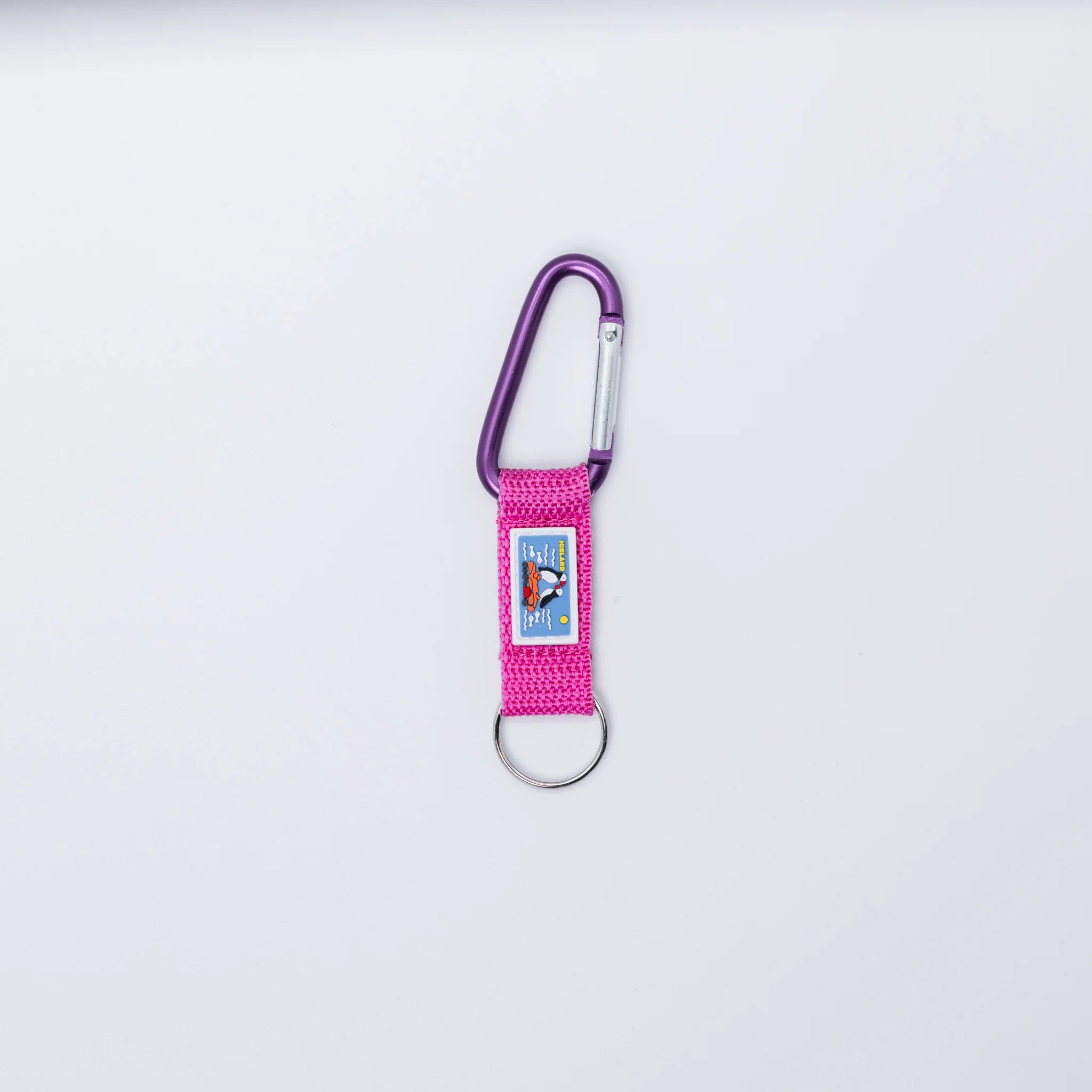 Keychain Carabiner - Minjagripir.is