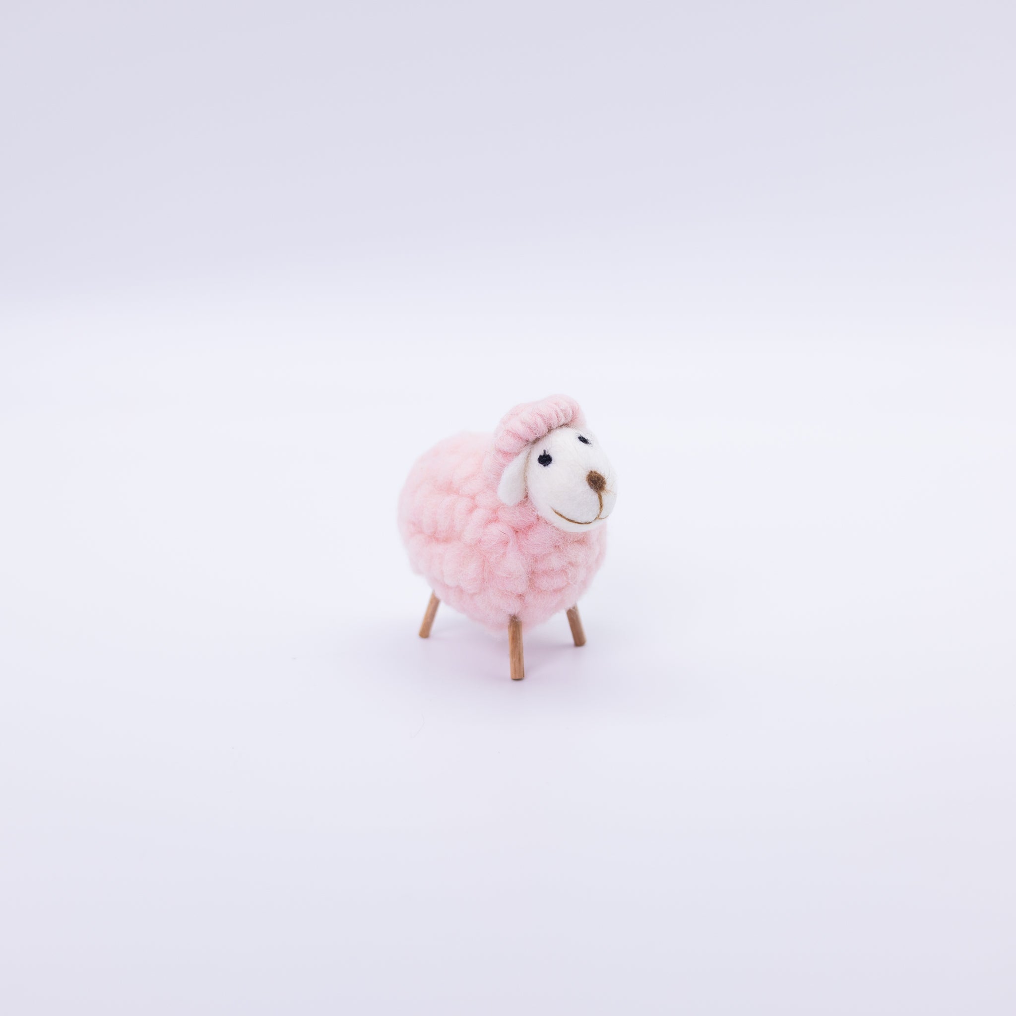 Cute Colorful Sheep