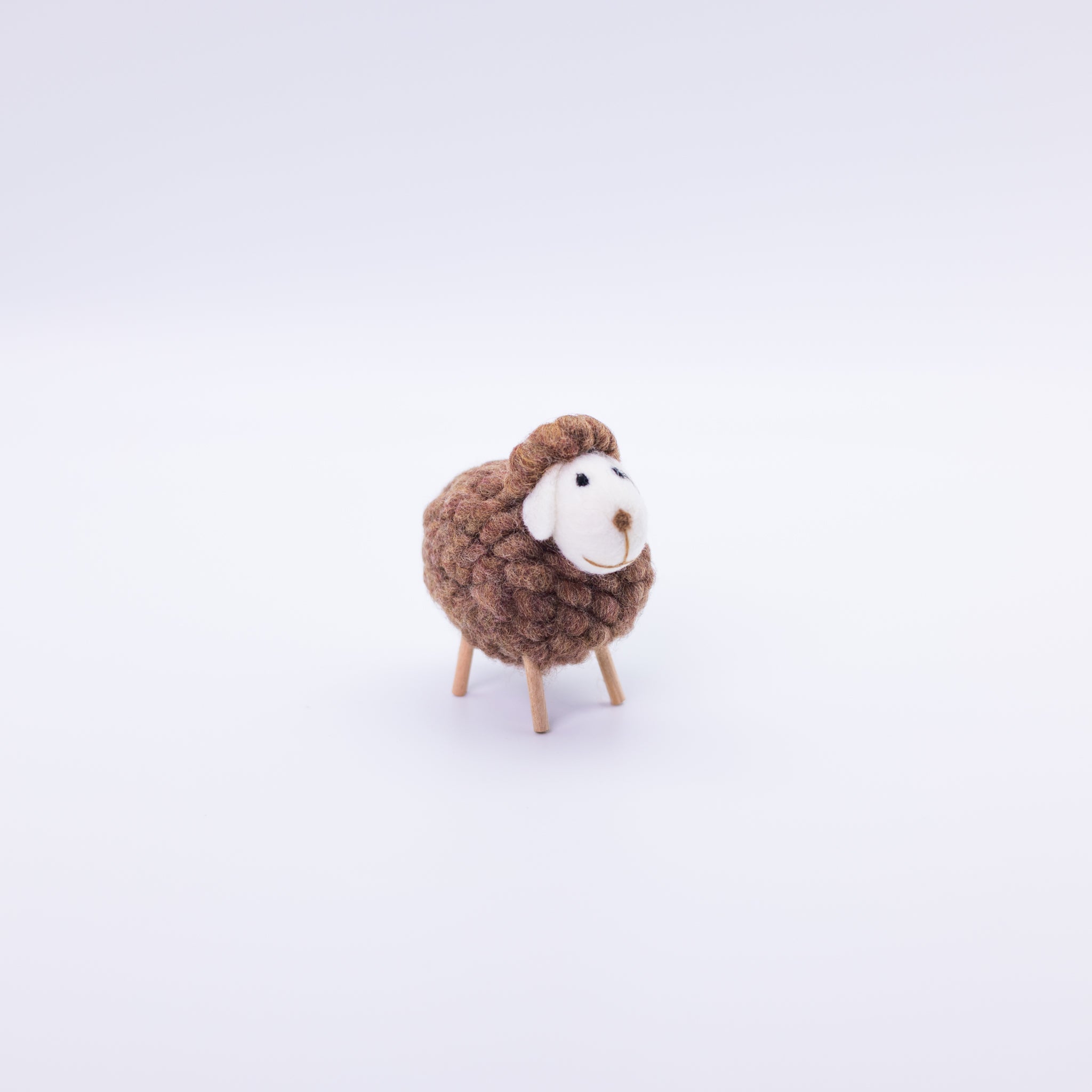 Cute Colorful Sheep