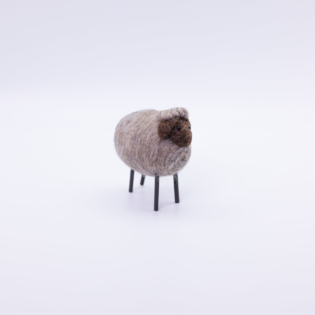 Cute Colorful Sheep