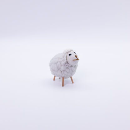 Cute Colorful Sheep