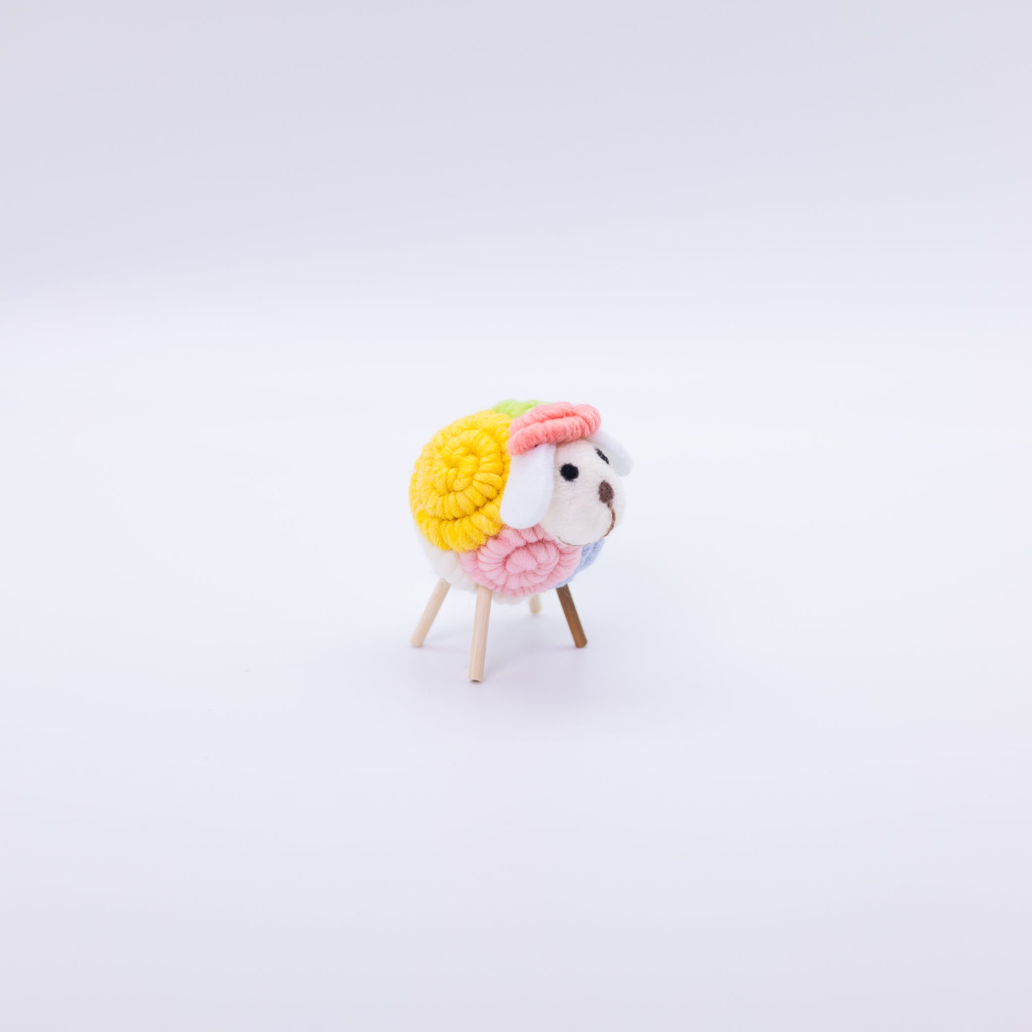 Cute Colorful Sheep