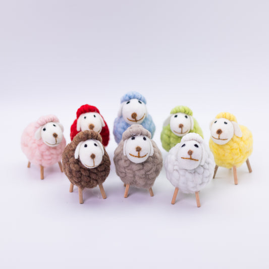 Cute Colorful Sheep