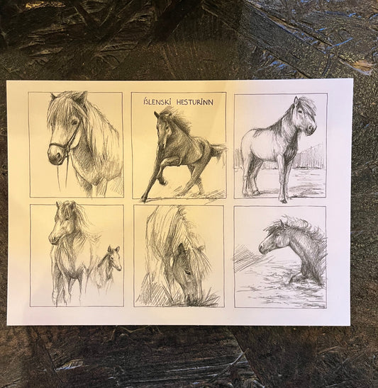 Postcard A6 Icelandic Horses - Jana Tomanová