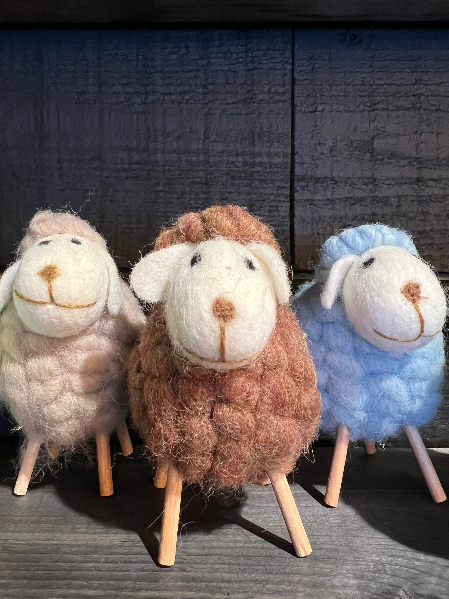 Cute Colorful Sheep