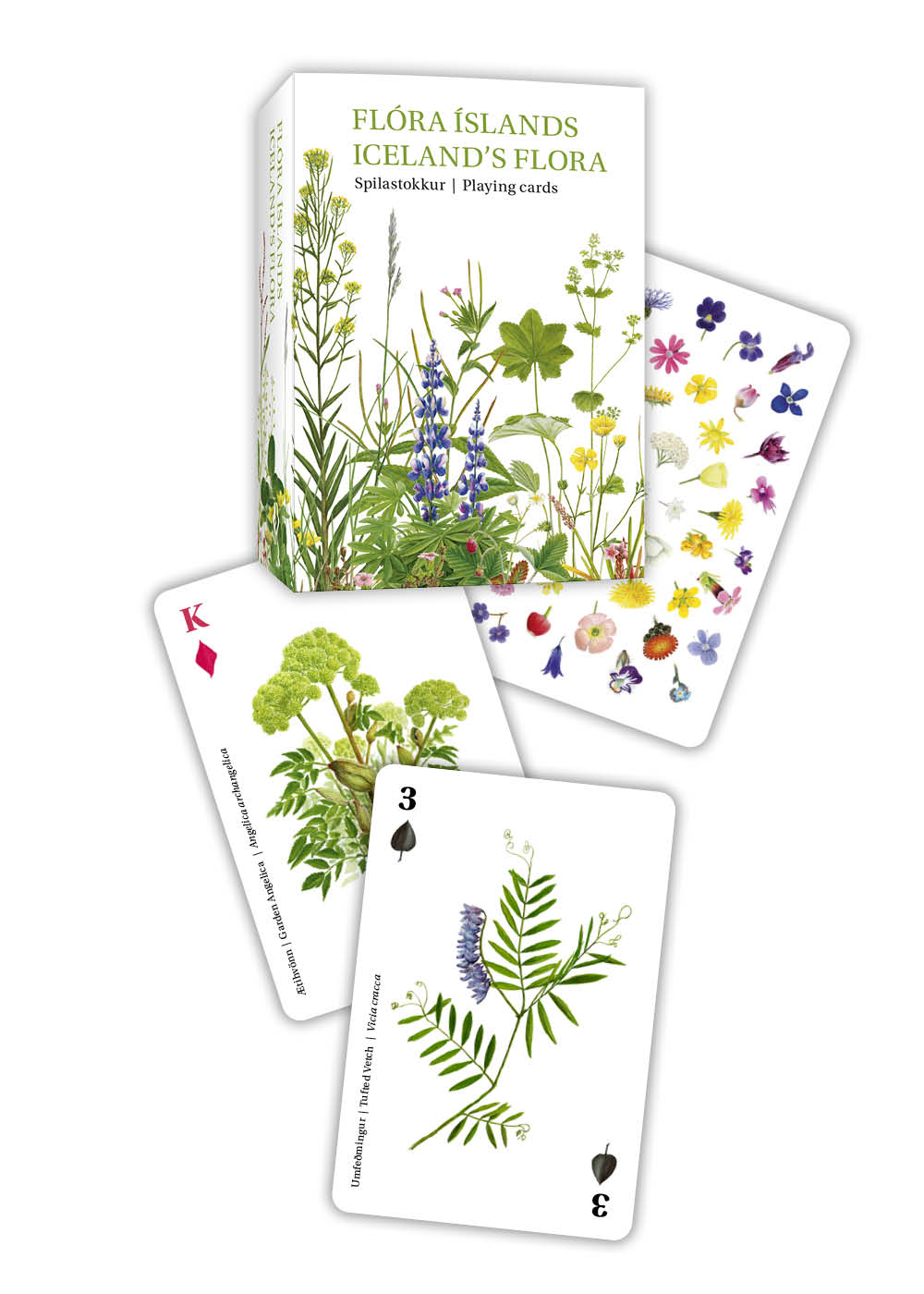 Flóra Íslands - Iceland's Flora Playing Cards