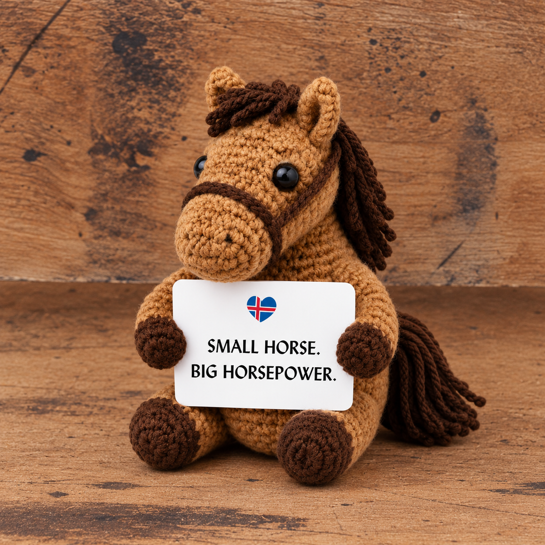Positive Horse With Sign - Remember Iceland