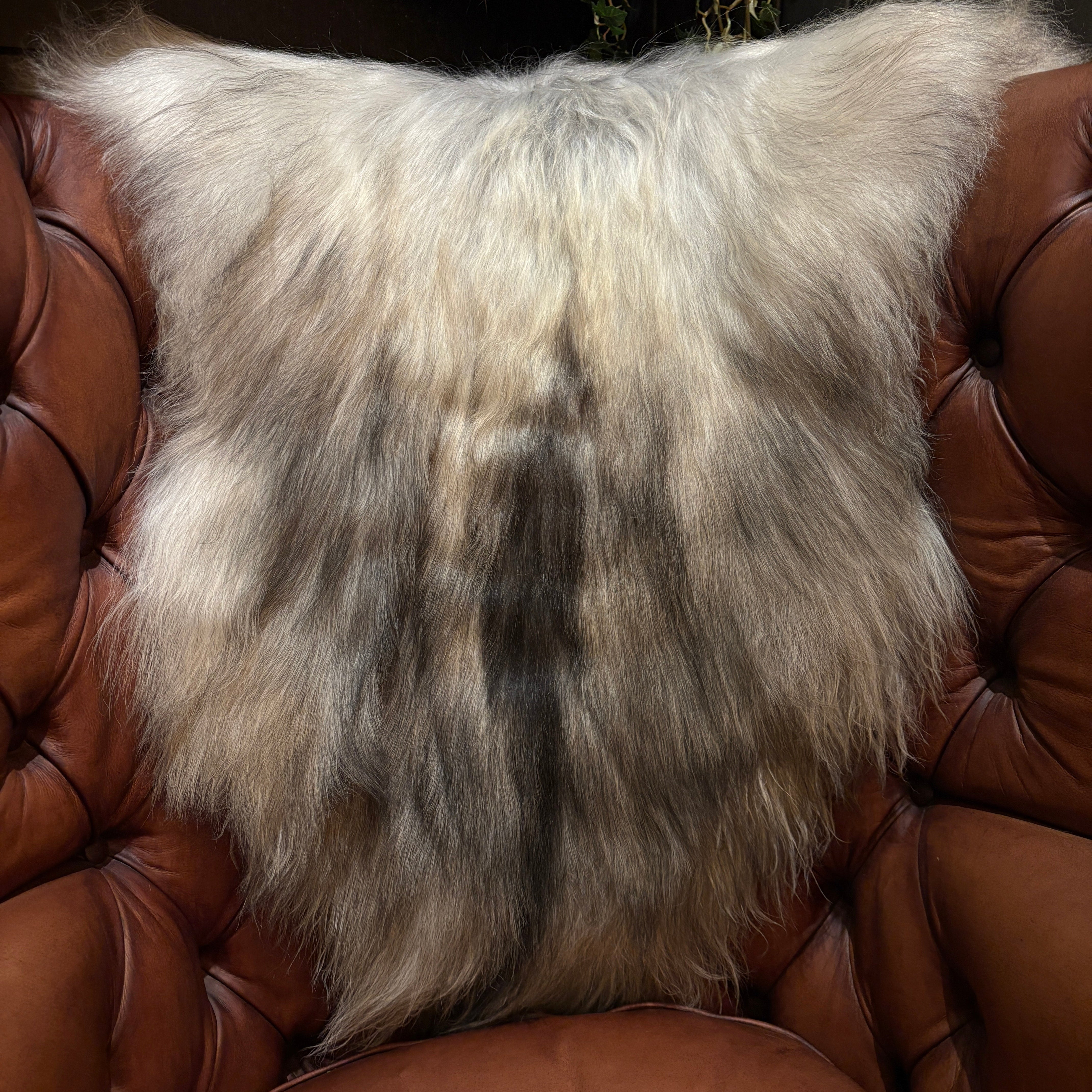 Sheepskin