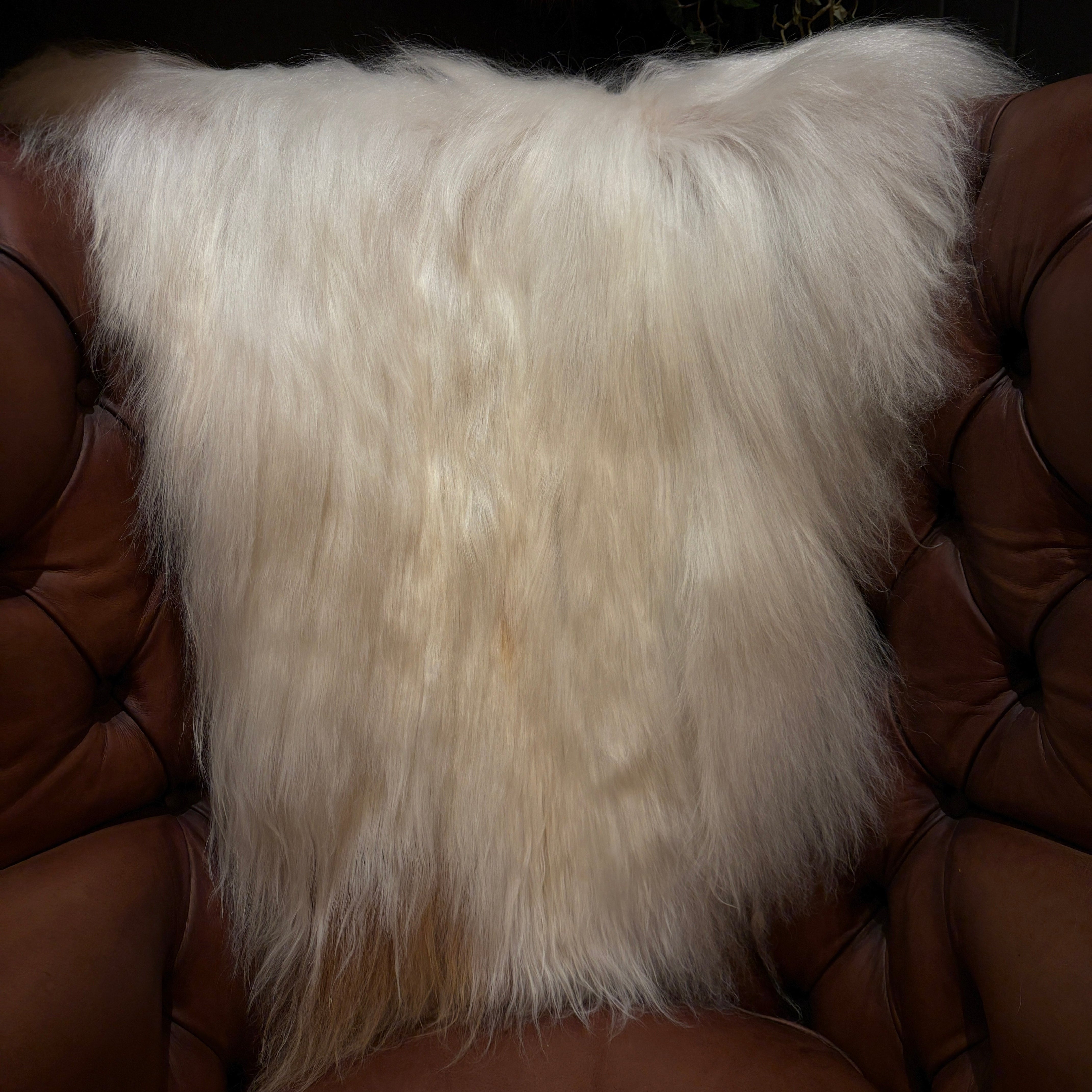 Sheepskin