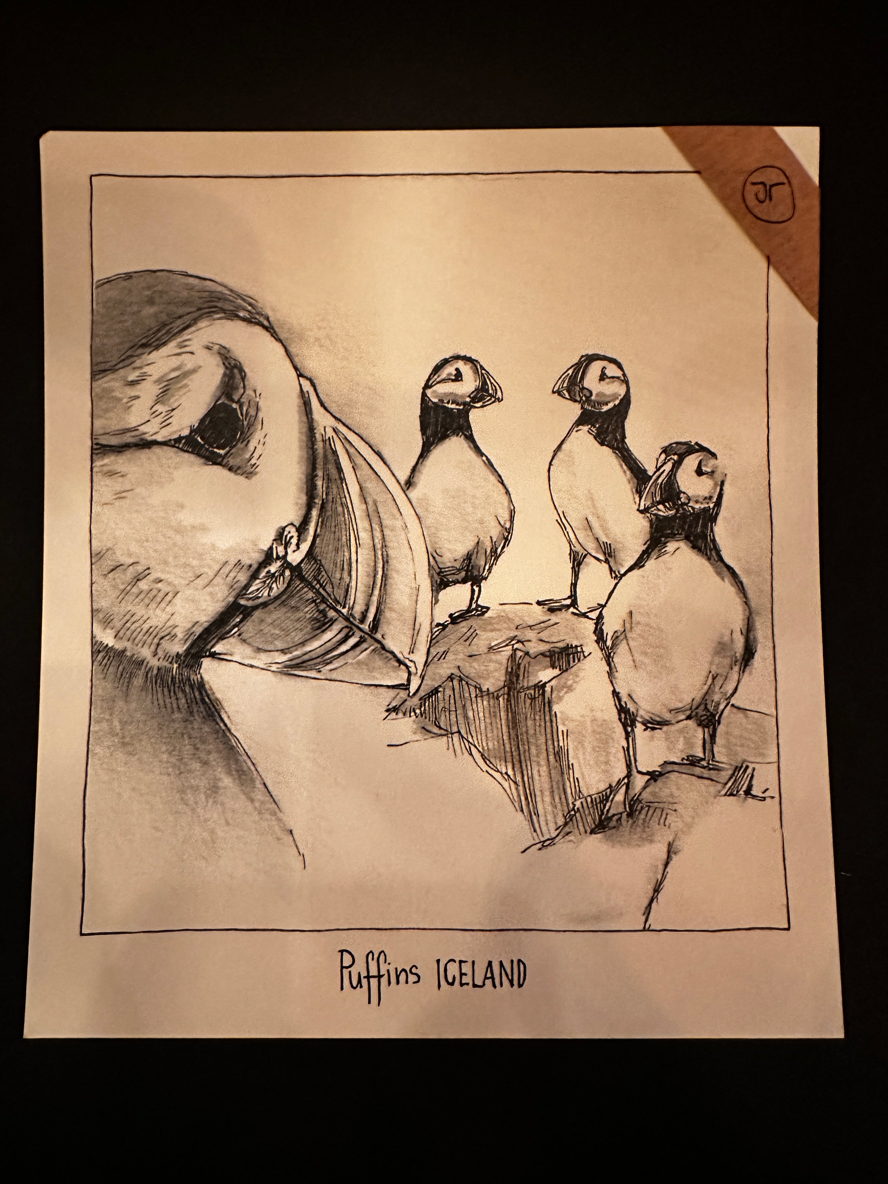 Small pictures from Iceland - Jana Tomanová