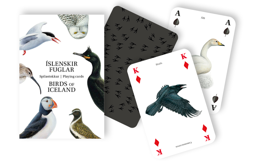 Birds of Iceland Playing Cards
