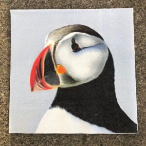 Icelandic Napkins - Íslensk