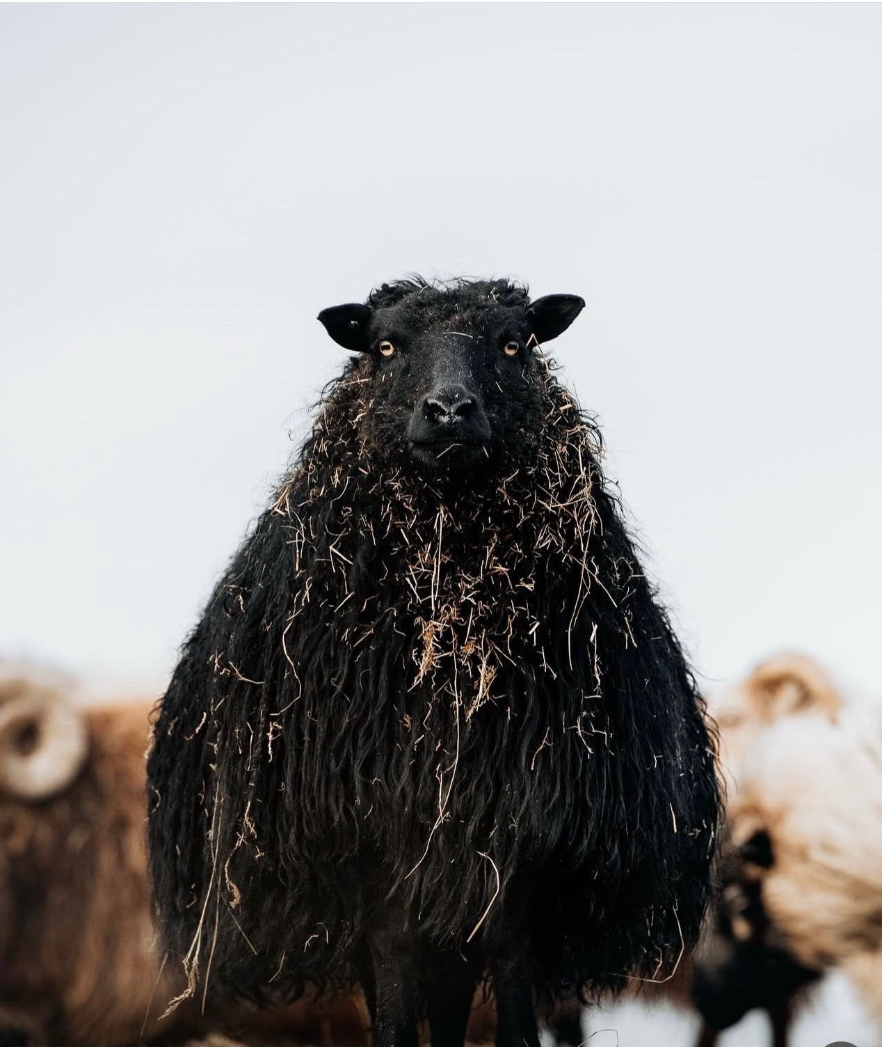 Postcard A6 - Gunnar Gunnarsson Photography