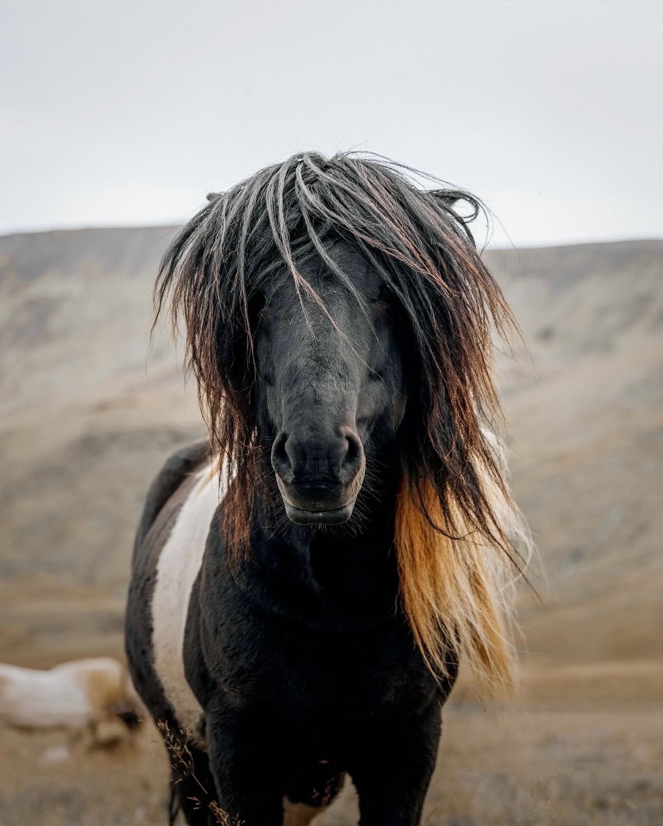 Postcard A6 - Gunnar Gunnarsson Photography