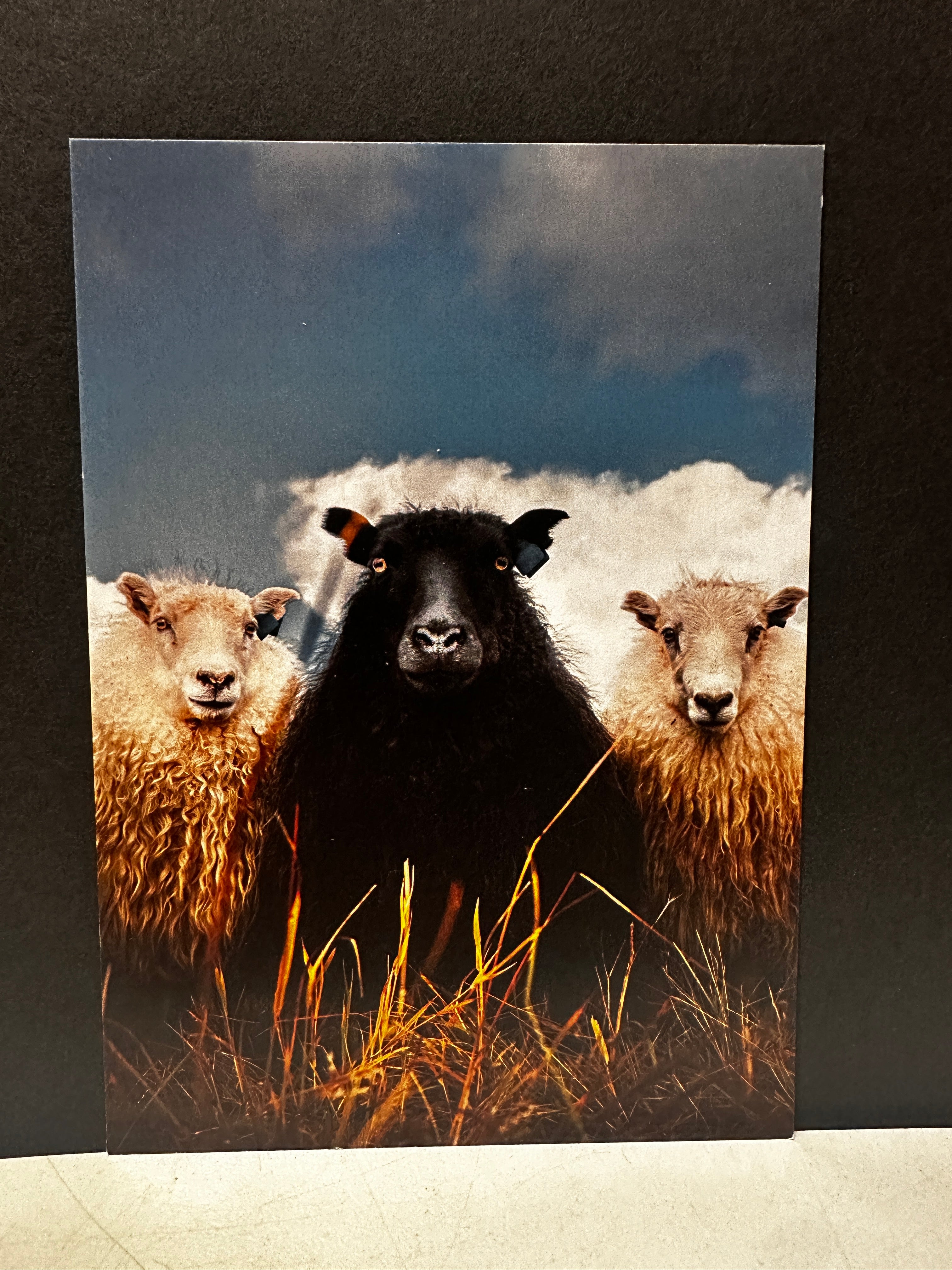 Postcard A6 - Gunnar Gunnarsson Photography