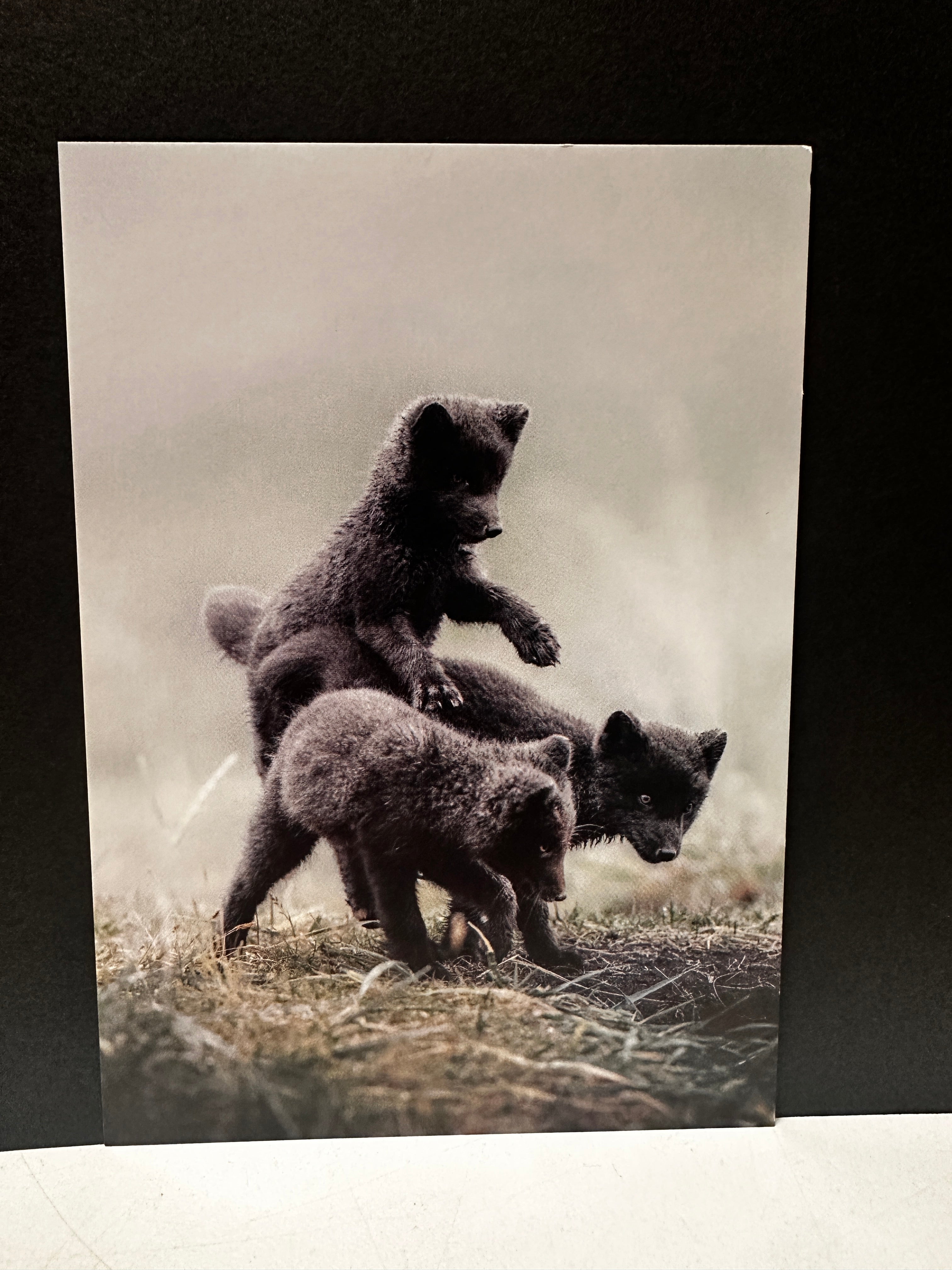 Postcard A6 - Gunnar Gunnarsson Photography