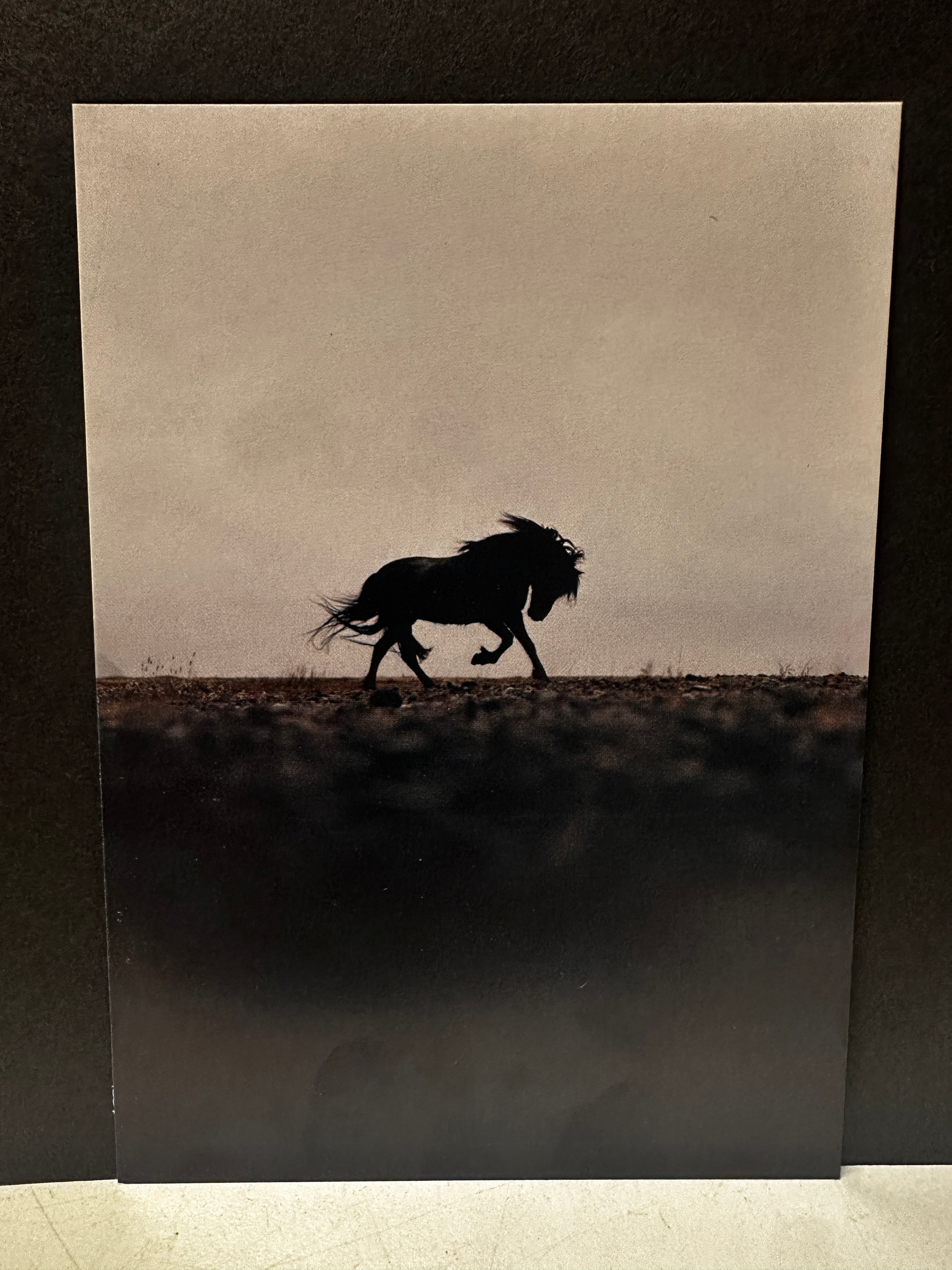 Postcard A6 - Gunnar Gunnarsson Photography