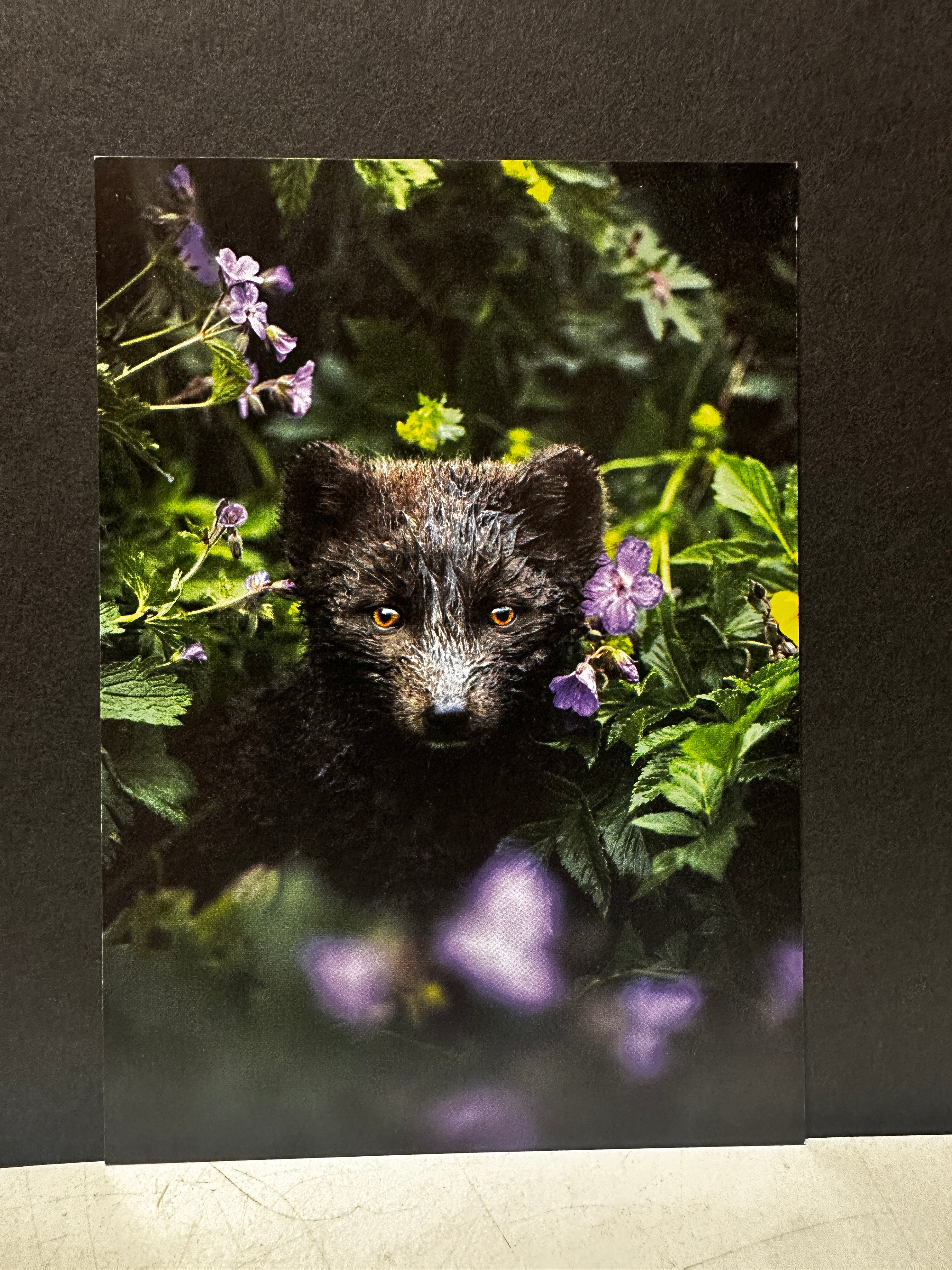 Postcard A6 - Gunnar Gunnarsson Photography