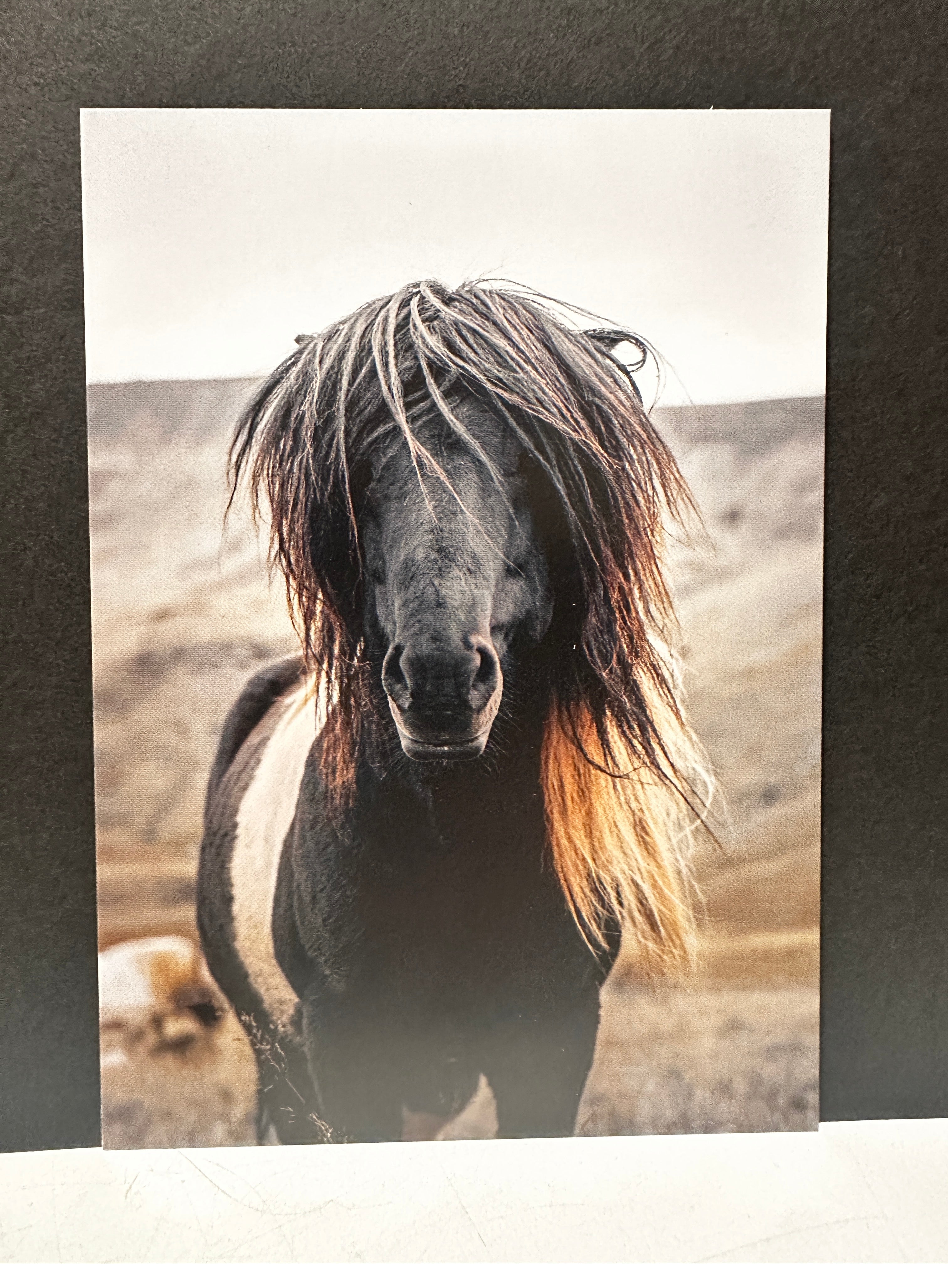 Postcard A6 - Gunnar Gunnarsson Photography