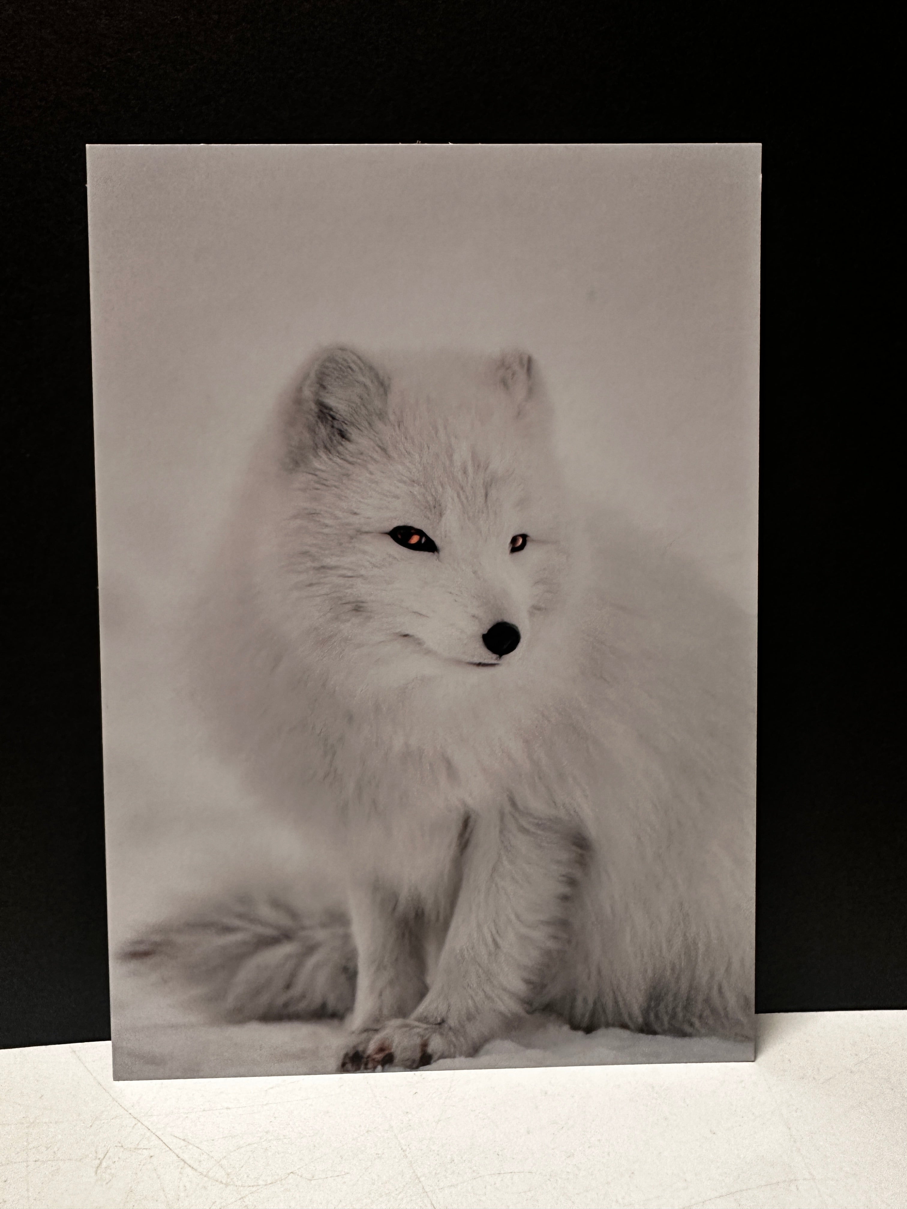 Postcard A6 - Gunnar Gunnarsson Photography