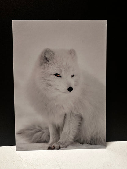 Postcard A6 - Gunnar Gunnarsson Photography