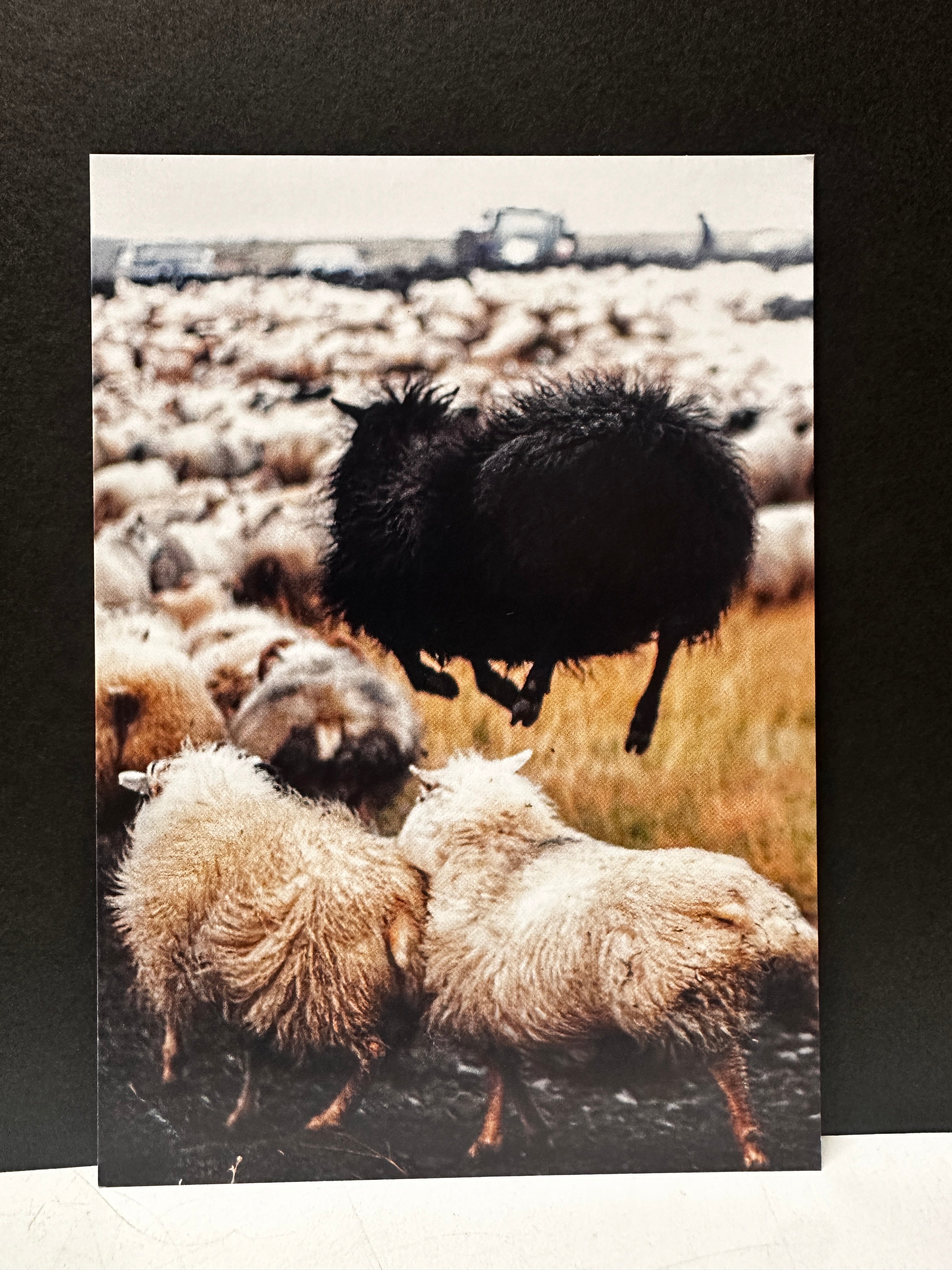 Postcard A6 - Gunnar Gunnarsson Photography