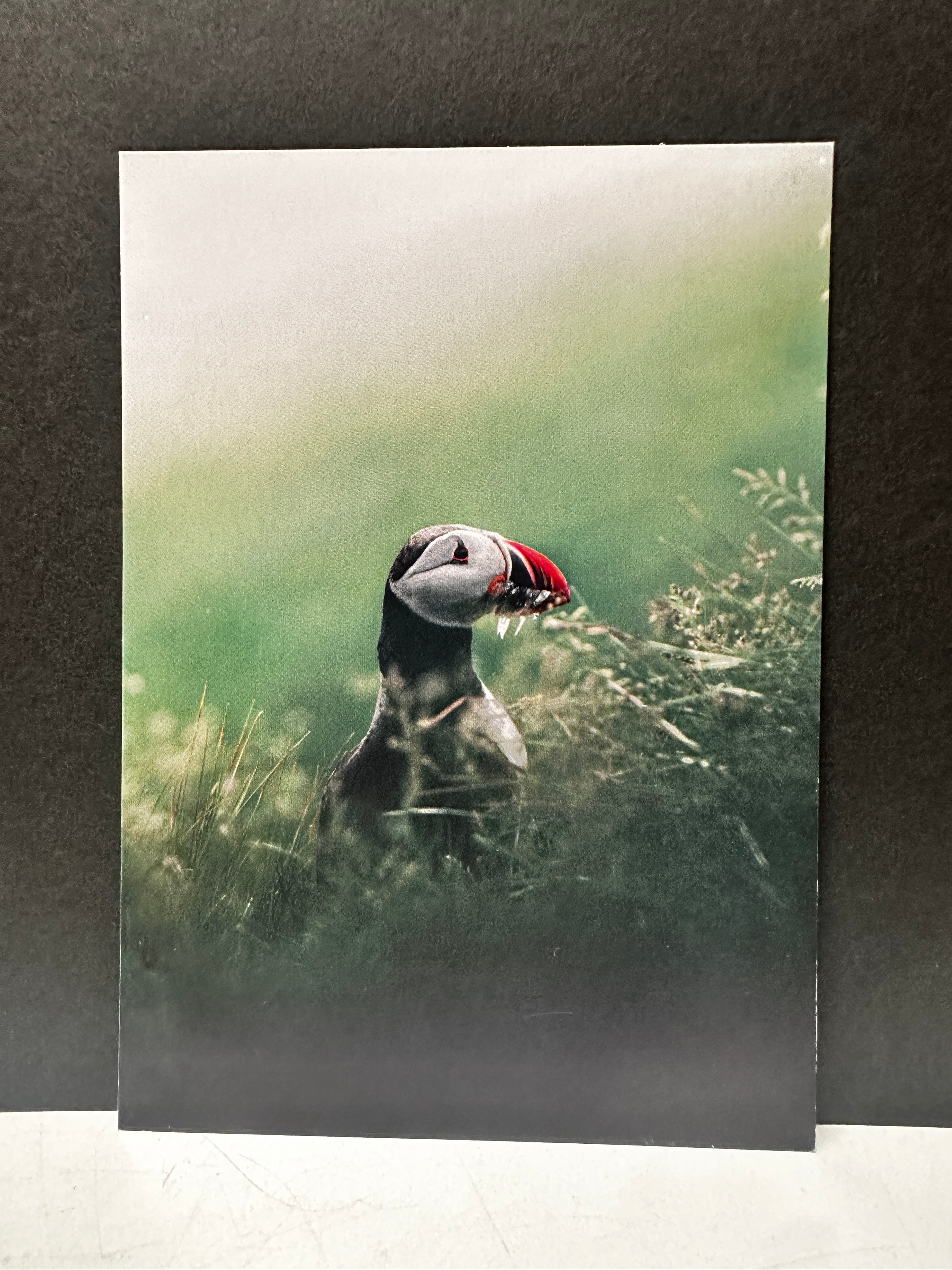 Postcard A6 - Gunnar Gunnarsson Photography