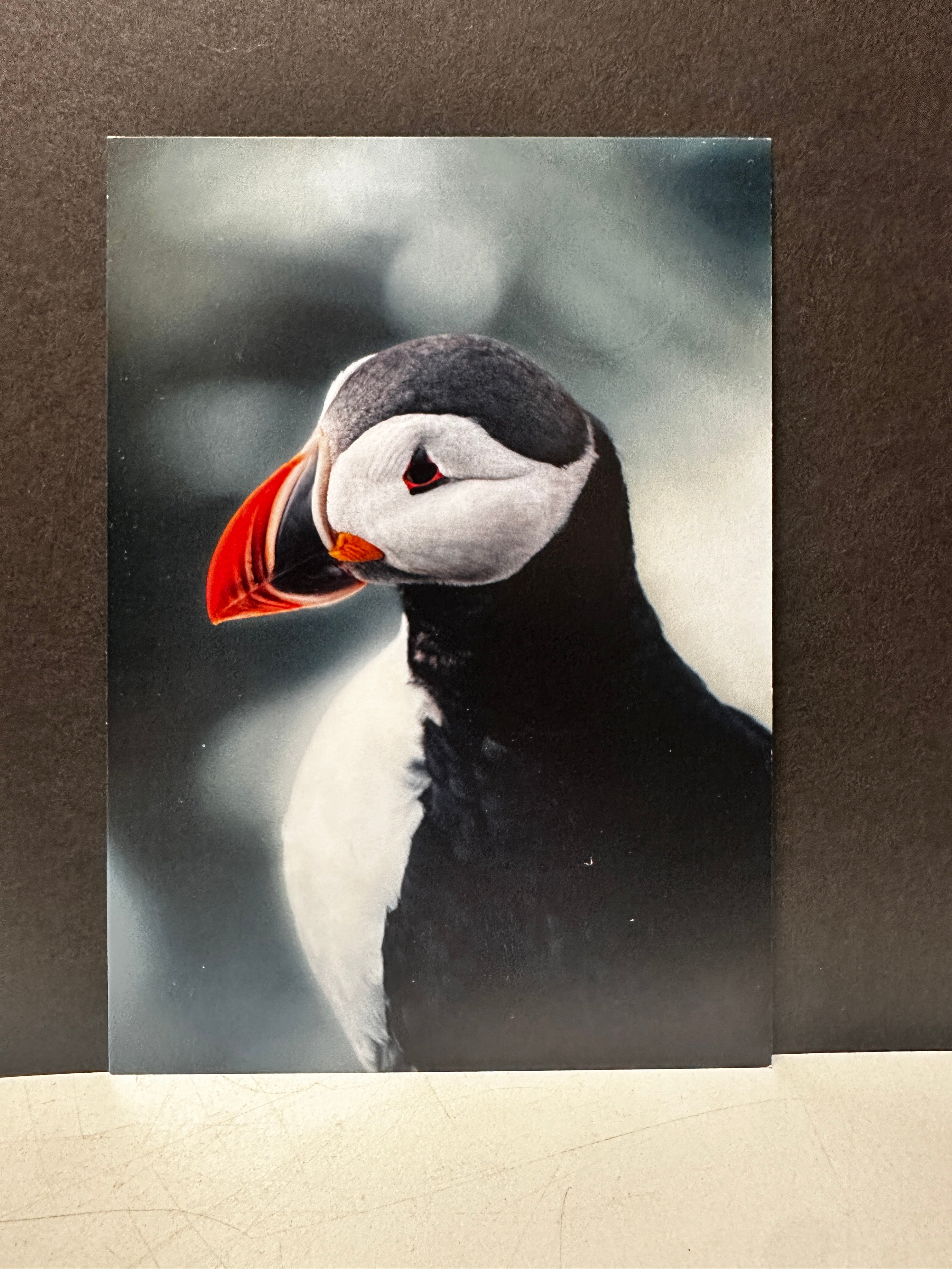 Postcard A6 - Gunnar Gunnarsson Photography