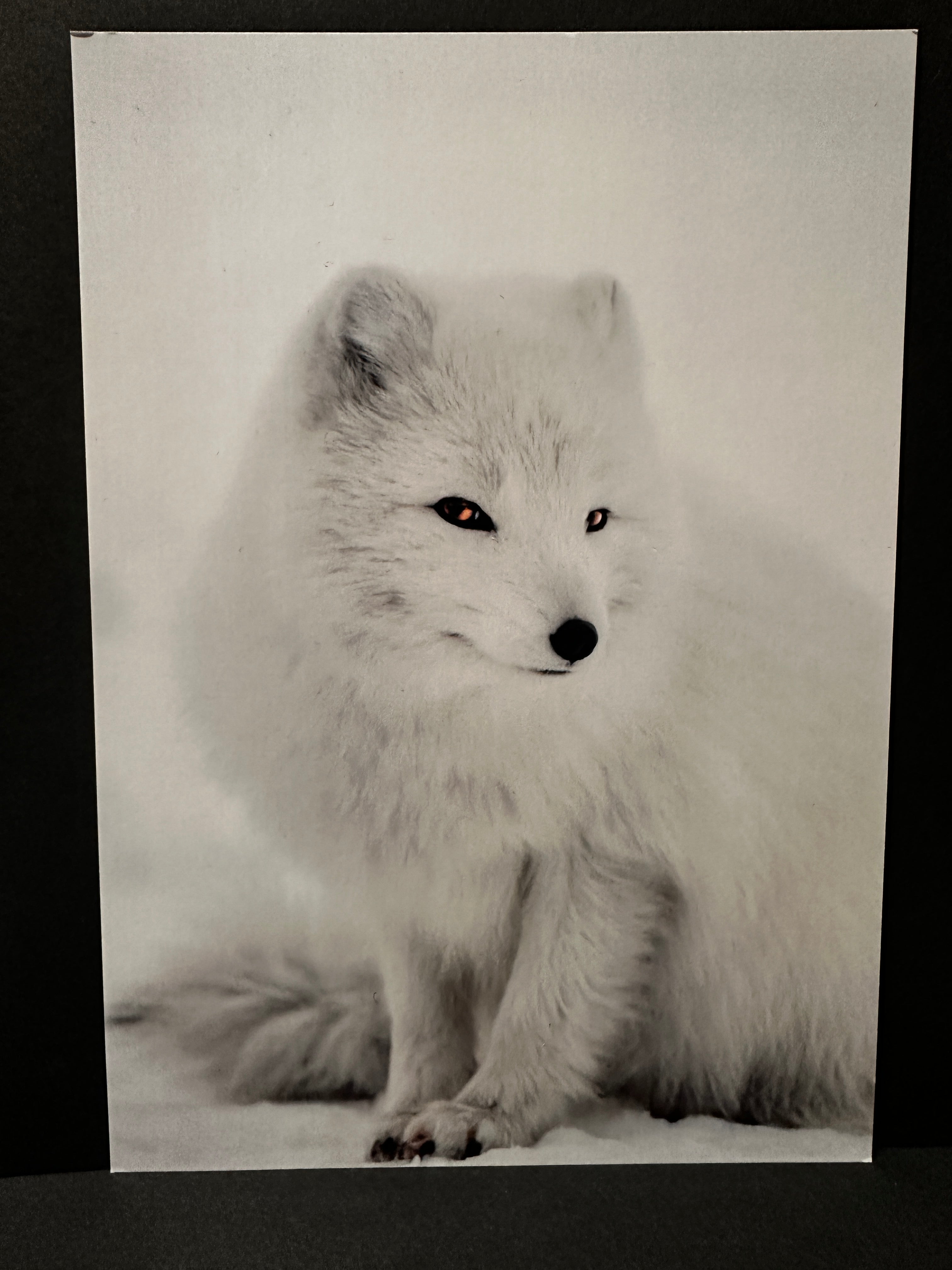 Postcard A5 - Gunnar Gunnarsson Photography