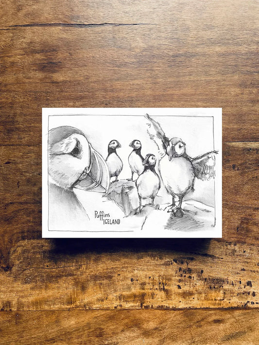 Postcard A5 Puffins Collection - Jana Tomanová