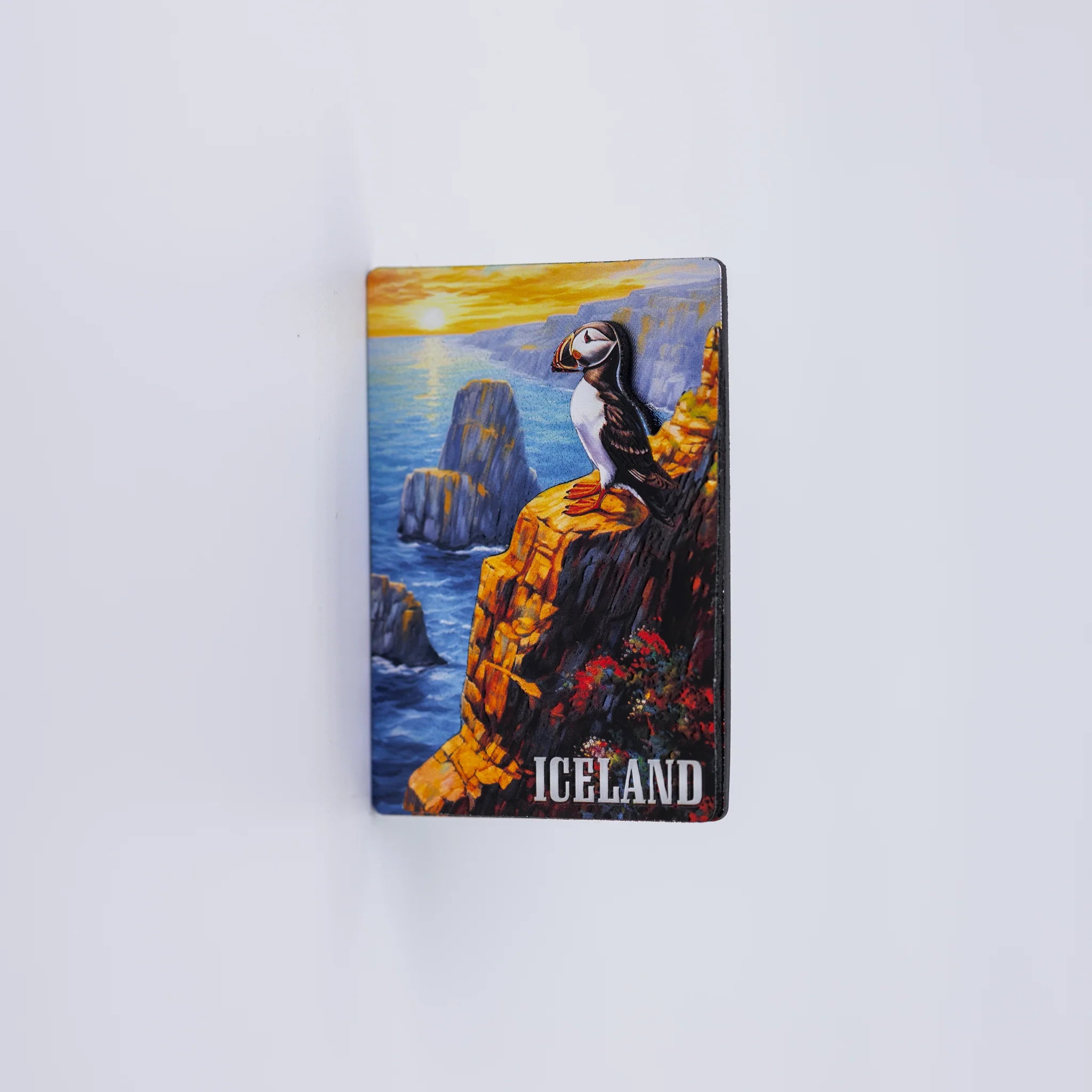 Magnet Shiny Pictures - Minjagripir.is